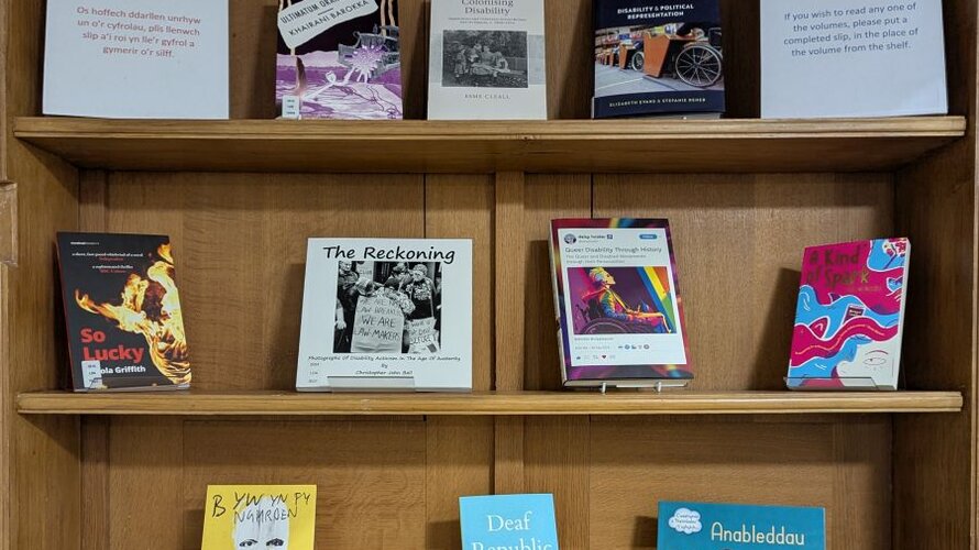 Llyfrau am anabledd i'r baner