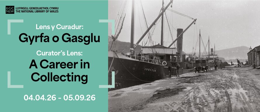 Lens y Curadur: Gyrfa o Gasglu