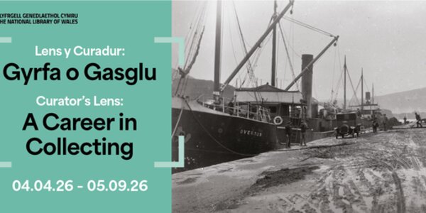 Lens y Curadur: Gyrfa o Gasglu