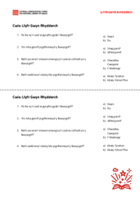 Gweithgareddau Llyfr Gwyn Rhydderch