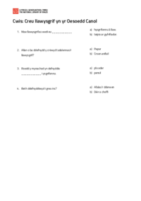 Pecyn gweithgareddau