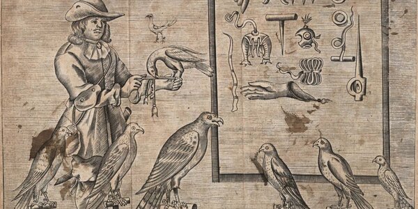 Llun o adar yn Llawlyfr hela, 'The Gentleman's Recreation : in four parts : viz. hunting, hawking, fowling, fishing' (1697) GJW 60