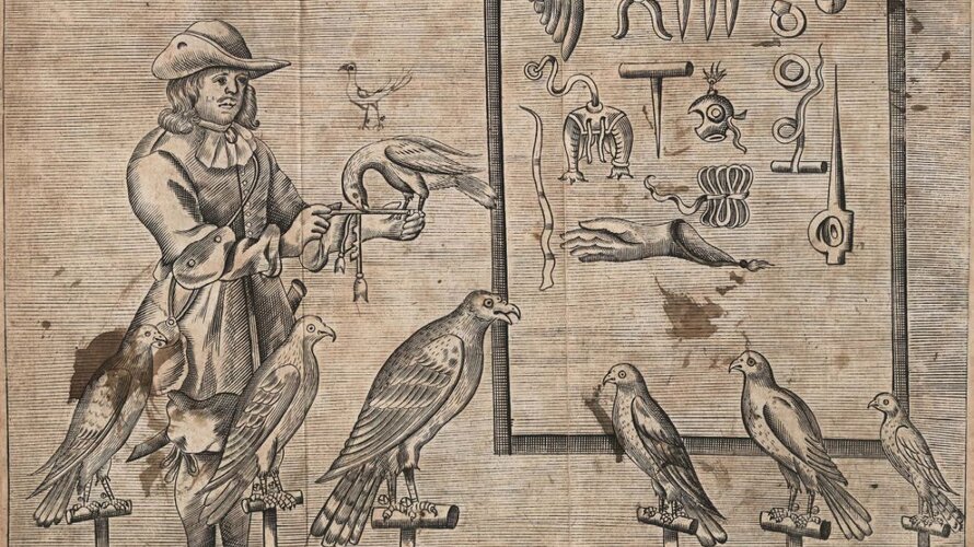 Llun o adar yn Llawlyfr hela, 'The Gentleman's Recreation : in four parts : viz. hunting, hawking, fowling, fishing' (1697) GJW 60