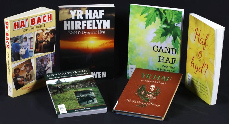 Llyfrau ar thema 'Haf' i oedolion