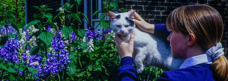 Diwrnod Caru eich Anifail Anwes