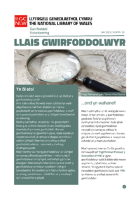 Llais Gwirfoddolwyr Rhif 19